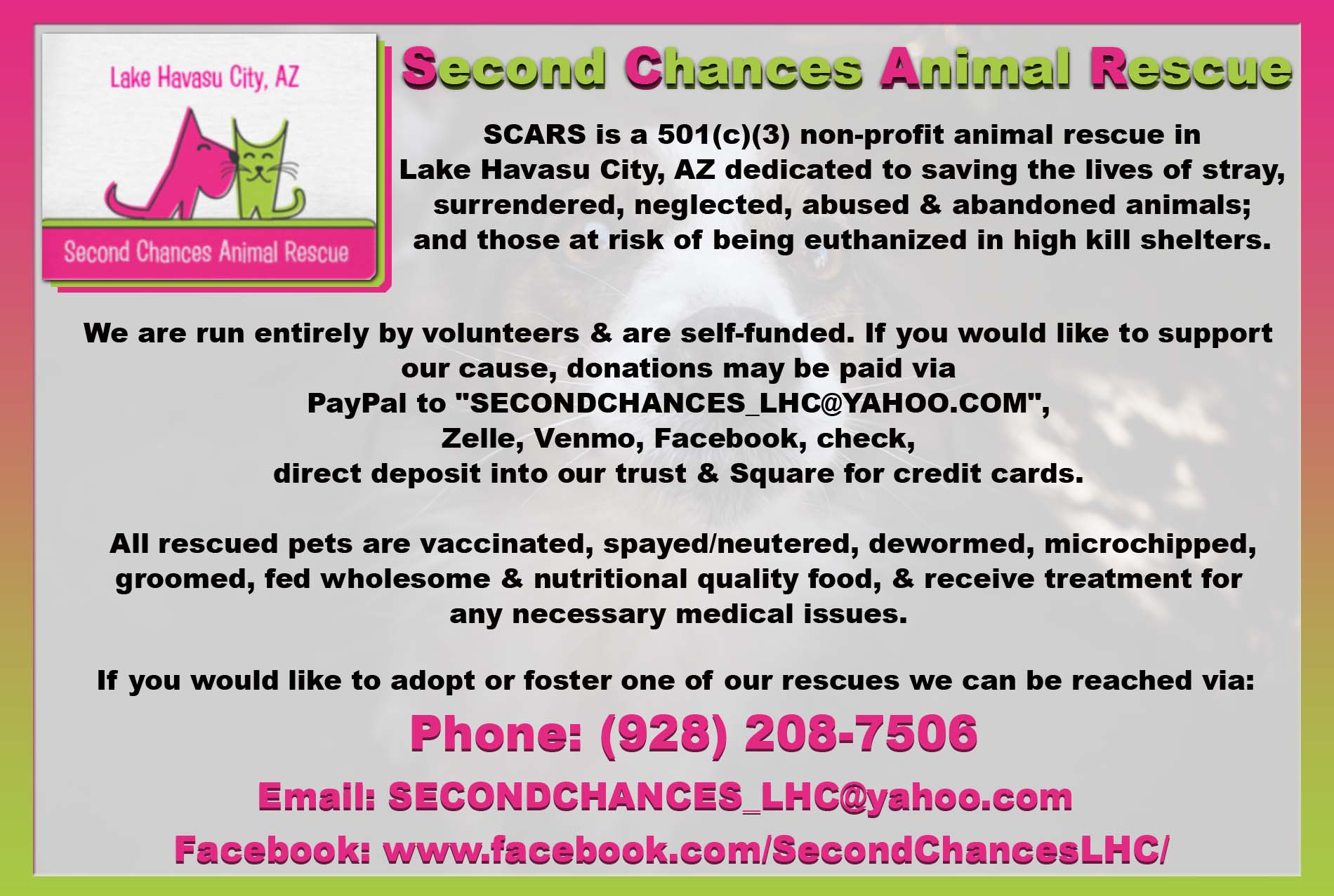 Second Chance Animal Rescue Lake Havasu