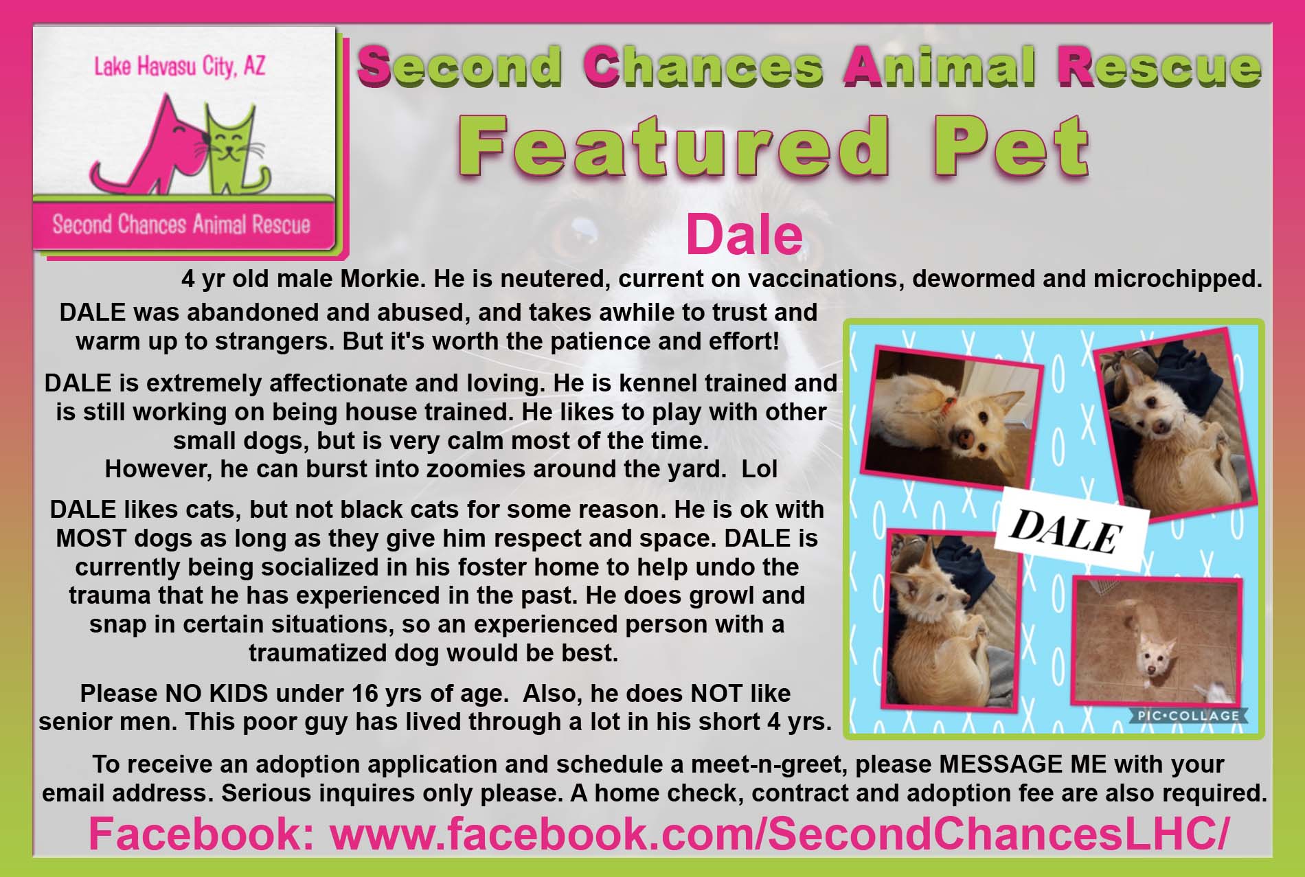 Second Chance Animal Rescue in Lake Havasu City Arizona